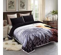 JML Fleece Blanket King Size 85" x93", Plush Korean Style Mink Blanket - 10 Pounds, 2 Ply A&B Printed, Silky Soft and Warm Raschel Bed Blanket, Eagle/Tiger