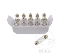 JMP Box of 10 bulb lamps 12V 10W SV8.5-8 NAOS