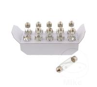 JMP Bulb 12V10W Sv8.5-8 Pck 25542373 1 Pack