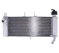 JMP Radiator JMP VARIOUS APRILIA