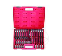 JMP Set of 32 screwdriver bits RIBE 1/2