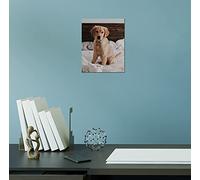 JMS® (Set of 1) - 8x10" Frameless Clip Frame Photo Frame Poster Frame Picture Frame 20x25cm