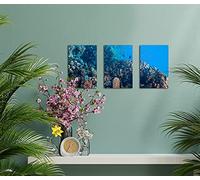 JMS® (set of 20) - 4x6 Inch Frameless Clip Frame Photo Frame Picture Frame Poster Frame 10x15cm