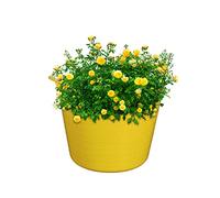 JMS we create smile 3 x 20/26 Litre Flexi Tubs- Garden Home Flexible Colour Storage Container Buckets - Polyethylene Flex Tub/Trug- MADE IN U.K (Yellow, Small - 26 Litre)