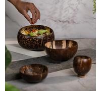 JMS we create smile - Large, Medium, Mini Coconut Bowls with Cup Set | Handmade Natural Coconut Shell Serving Bowls for Cereal, Salads, Smoothies - 900ml, 500ml, 150ml
