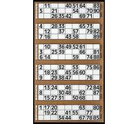 JMS we create smile [Pack of 10] Jumbo Bingo Pad 600 Bingo Tickets to View Flyers - Big, bold, easy to read numbers (Brown)