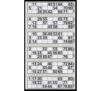 JMS we create smile [Pack of 10] Jumbo Bingo Pad 600 Bingo Tickets to View Flyers - Big, bold, easy to read numbers (Grey)