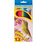JMS we create smile - Pack of 24 Long Colouring Pencils (12 Per Box, 288 Total) - 18CM | Pre-Sharpened Soft Core Artist Pencils for Toddlers & Adults | for Drawing, School & Art Gifts (24 Pack)