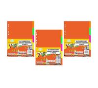 JMS We create smile - Subject Divider (3 Packs) A4 Flourescent 5 Parts, Multi Hole Punched in Assorted Colours Fit All A4 Portrait File Dividers for Multipurpose use in Office School