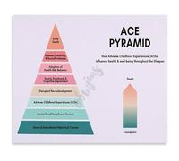 JMVLVLOA ACES Pyramid Poster Mental Health Education Educational Wall Decor for Counseling Office School Social Worker Psychologist Print(Unframed,12x18inch(30x45cm))