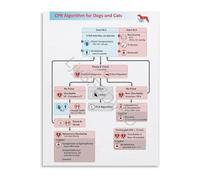 JMVLVLOA Small Animal Critical Care Poster Veterinary CPR Algorithm Emergency First Aid Guide Resuscitation Chart for Hospital ER 8 X 12 in