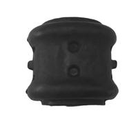 Jnchdghwa Front Stabilizer Bar Bushing 68466023AA for Ram 1500 2021-2026 Replacement Parts