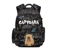 Jndtueit Capybara School Backpack for Kids Lightweight Math Formula Black Backpack for Boys Girls, 17 Inch Bookbag Multi Pocket Laptop Backpacks, Water Resistant Daypack