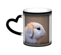jngmeng Cry Rabbit Print Starry Sky Color-Changing Mug Kitchens Offices Dorms Cafes Ceramic Coffee Mugs