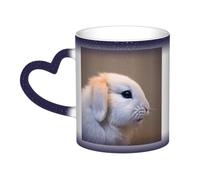 jngmeng Cry Rabbit Print Starry Sky Color-Changing Mug Kitchens Offices Dorms Cafes Ceramic Coffee Mugs