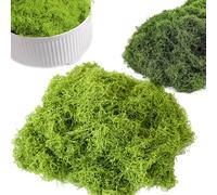 JNGTKL Fake Moss, 150g Artificial Moss, Greenery Artificial Moss For Indoor Plant Pots, Faux Moss For Plants, Decorative Moss For Room Balcony Garden (100g Light Green, 50g Dark Green)