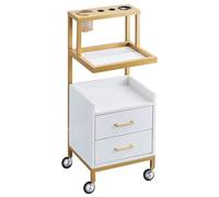 JNHWFDB Hair Salon Storage Tool Cart with 2 Drawers and Tool Holders Salon Cart Drawer Barber Salon Furniture Multipurpose Beauty Cart(Bianco)