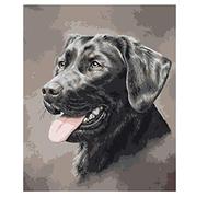 JNNPY Cross Stitch Kits for Adults,Black Labrador Dog,11CT Printed Cross Stitch Kits for Beginners,Stamped Cross Stitch Kit for Wall Art Home Decoration 16 ×20 Inch