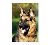 JNNPY Cross Stitch Kits for Adults,German Shepherd Dog,11CT Printed Cross Stitch Kits for Beginners,Stamped Cross Stitch Kit for Wall Art Home Decoration 16 ×20 Inch