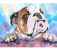 JNNPY Cross Stitch Kits for Adults,Hand Drawn Colorful English Bulldog,11CT Printed Cross Stitch Kits for Beginners,Stamped Cross Stitch Kit for Wall Art Home Decoration 16 ×20 Inch