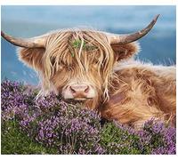 JNNPY Cross Stitch Kits for Adults,Highland Cow Purple Flower,11CT Printed Cross Stitch Kits for Beginners,Stamped Cross Stitch Kit for Wall Art Home Decoration 16 ×20 Inch