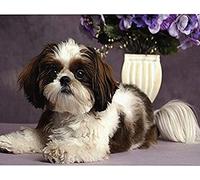JNNPY Cross Stitch Kits for Adults,Shih Tzu Animal,11CT Printed Cross Stitch Kits for Beginners,Stamped Cross Stitch Kit for Wall Art Home Decoration 16 ×20 Inch