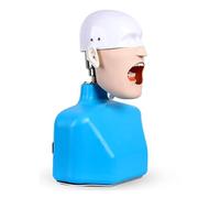 JNPGVTCD Dental Crown Models, Simulator Phantom Head Training With Shoulder Body For Dentist Teaching