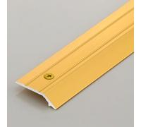 JNTFNE Transition Strip for Uneven Floors with Screw Kits, Rug Edge Binding Thickness Within 5mm, Metal Carpet Trim to Laminate/Carpet Tile/Carpet Wood(Gold,52 in/132cm)