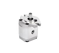 JNVFTCUX Hydraulic Gear Pump High HGP1A-F0.8-8R Flat Key Shaft Threaded Hardware Auto Machinery(HGP1AF8R)