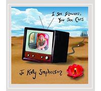 Jo Kelly Stephenson - I See Flowers, You See Cars