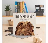 Jo Scott Happy Birthday From The Dog - Brown Card - Jo Scott Art