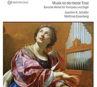Joachim K. Schafer - Music is the Best Consolation