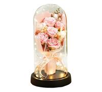 Joalpysm Glass Dome Eternal Rose Lamp with Warm LED Glow, Romantic Light Up Ornaments with 7 Pink Roses for Home Decor, Forever Flowers Gifts for Valentine's Day and Mother's Day