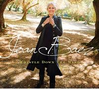 Joan Baez - Whistle Down The Wind - CD - K4z