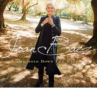 Joan Baez - Whistle Down The Wind [VINYL]