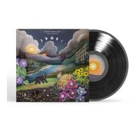 Joan Shelley - Real Warmth [VINYL]