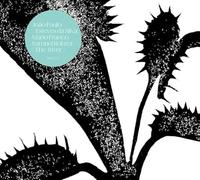 JOAO PAULO ESTEVES DA SILVA TRIO W/ MARIO FRANCO & SAMUEL ROHRER - THE RIVER