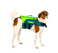 Jobe Pet Vest Lime Teal XL 240023001-XL XL Pet Vest Lime Teal XL 240023001-XL
