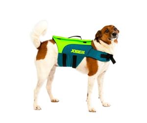Jobe Pet Vest Lime Teal XL 240023001-XL XL Pet Vest Lime Teal XL 240023001-XL