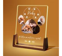 Jodimitty Personalised Pet Memorial Plaque Acrylic Panel optional LED Light & Wooden Base, Custom Color Photo & Name & Life Span & Message, Paw Print Dog Cat Memorial Gifts, 5x7in / 6x8in (Style B)