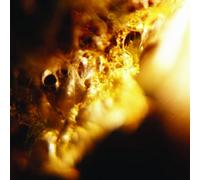 Jodis - Black Curtain [VINYL]