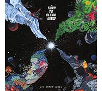 JOE ARMON-JONES - TURN TO CLEAR VIEW [VINYL]