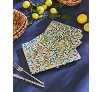Joe Browns Set Of 4 Fruity Placemats In White White One Size