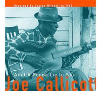 JOE CALLICOTT - Ain't A-Going to Lie to You [VINYL]