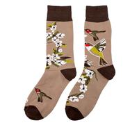 JOE COOL Socks cotton & spandex gents blossom hummingbird taupe