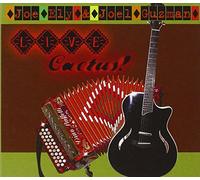 Joe Ely & Joel Guzman - Live Cactus!