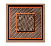 JOE GREEN CO Large Silk Like Satin Scarf Neck Head Wrap 35 Inch Square, 12 Ff Orange Brown, Large