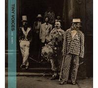 JOE HENRY - Tiny Voices