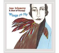 Joe Irizarry - Wings to Fly