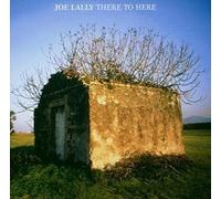 Joe Lally - There To Here